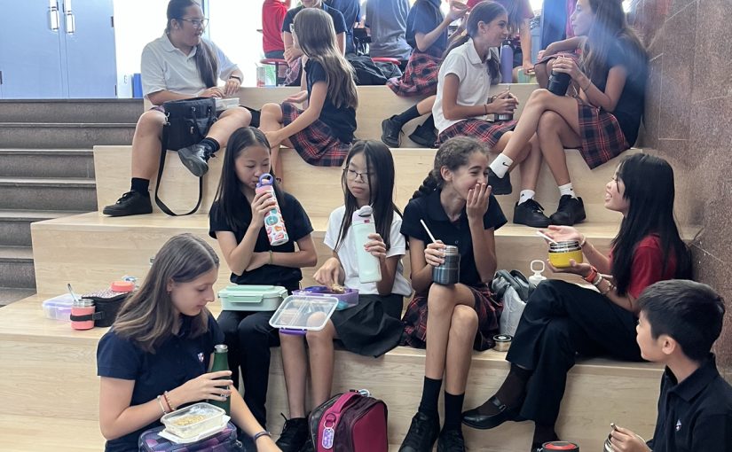 Mission fondamentale de l’éducation : la socialisation